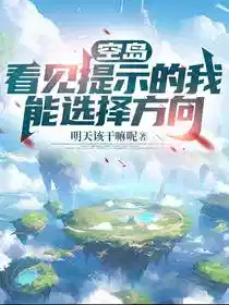 空岛：看见提示的我能选择方向